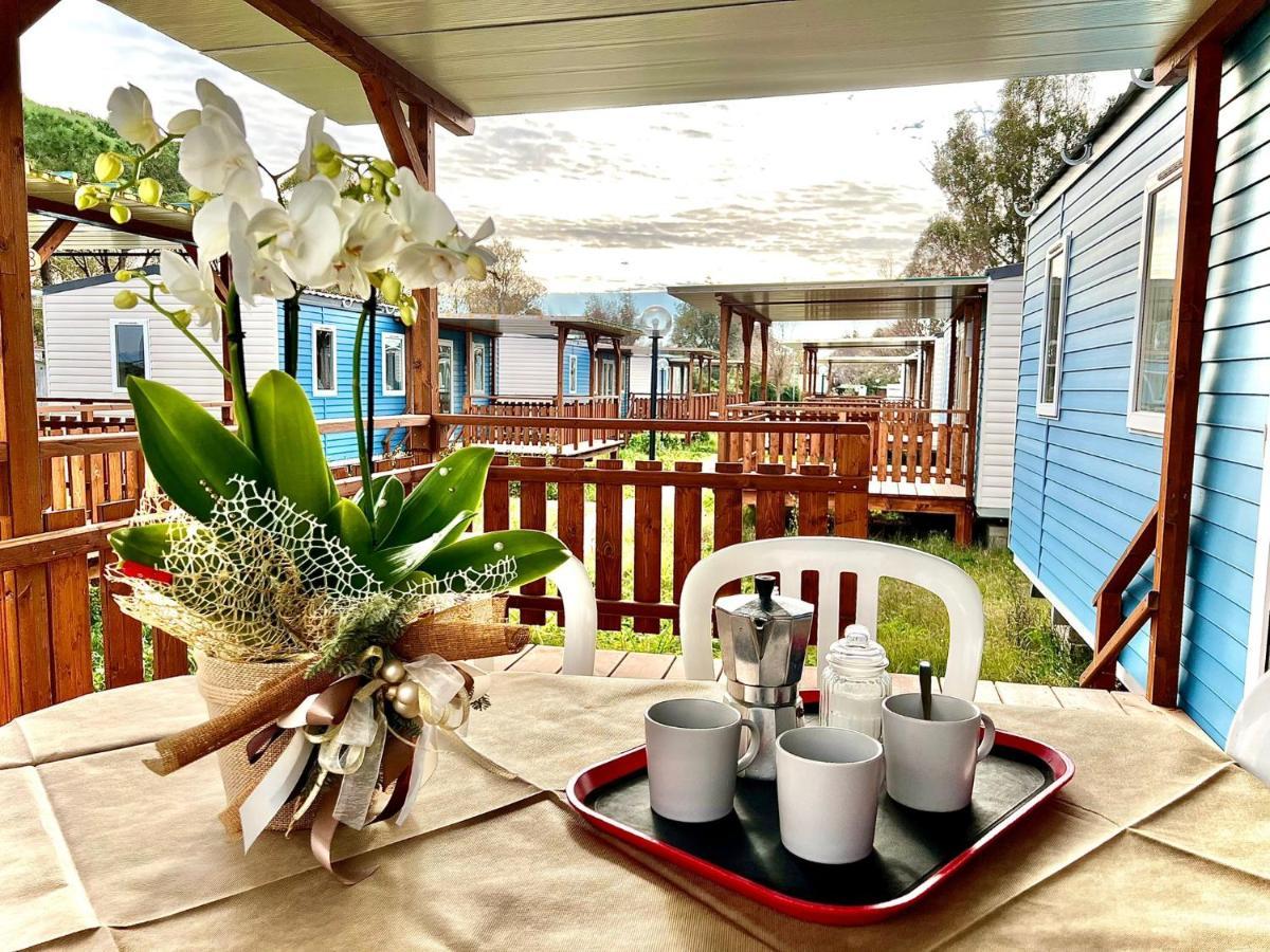 Camping Village Tuscia Tirrenica Tarquinia Dış mekan fotoğraf