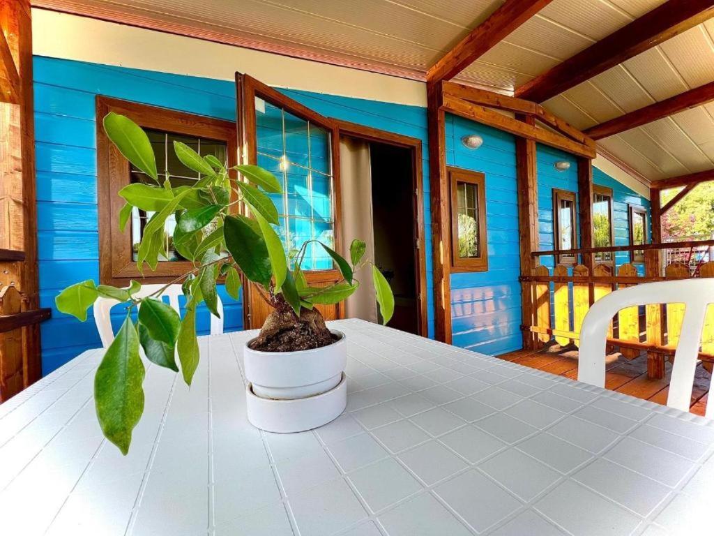 Camping Village Tuscia Tirrenica Tarquinia Dış mekan fotoğraf